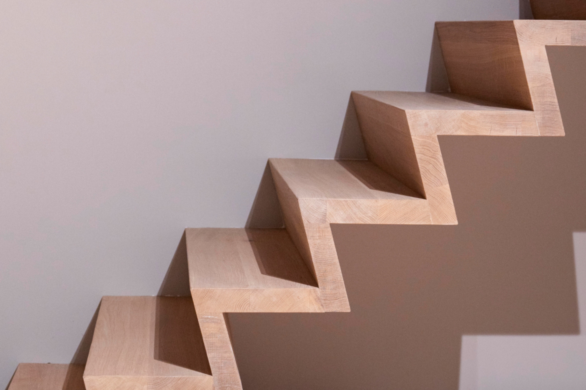 z-trap den bosch en omgeving